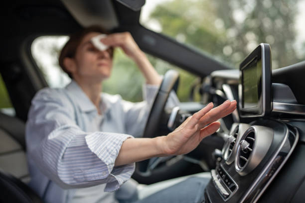 Best Thermostats and Smart Controls in Belvedere, SC