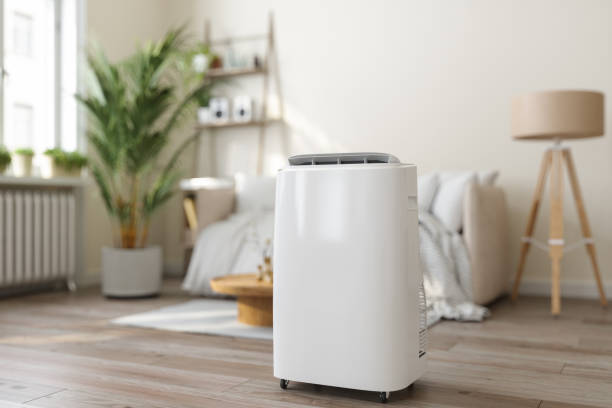 Best Furnace Cleaning in Belvedere, SC